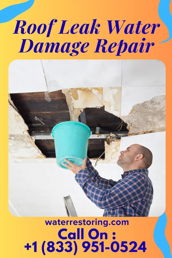 Roof Leak Water Damage Repair in Sangaree, SC