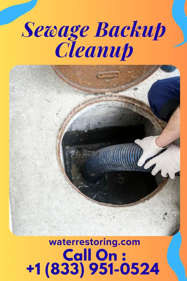 Sewage Backup Cleanup in Sangaree, SC